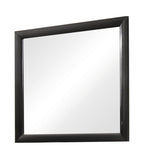 Briana Rectangle Mirror Black