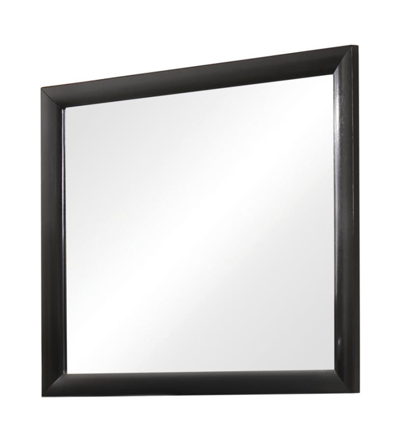 Briana Rectangle Mirror Black