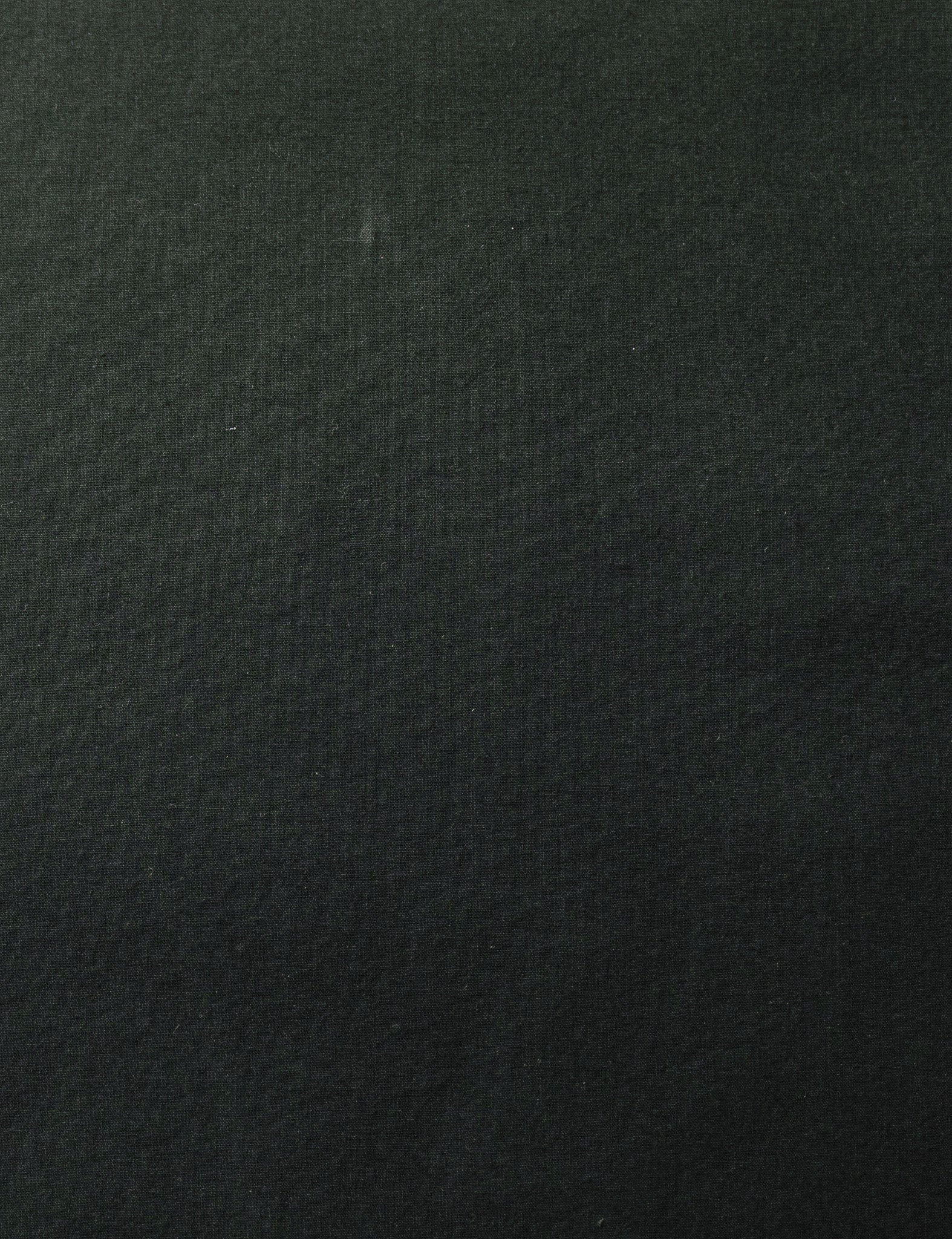 Nap Sham Single - Alpine